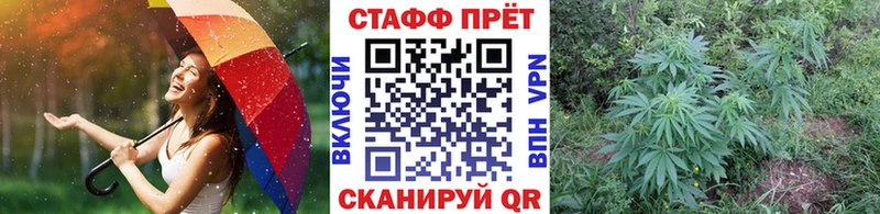 Купить наркотики цена Новоузенск ссылка на мегу вход СК Бошки Шишки Метадон Мефедрон COCAIN NBOMe