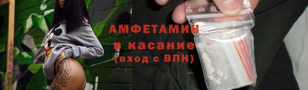 гашик Алексин
