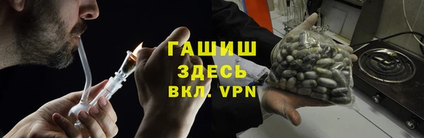 гашик Алексин