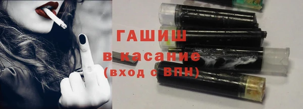 гашик Алексин