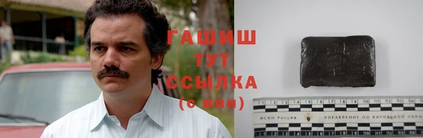 гашик Алексин