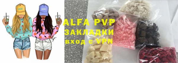 гашик Алексин