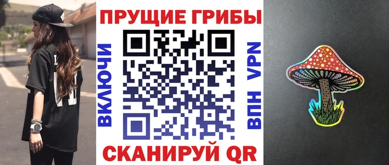 где купить наркоту Новоузенск Псилоцибиновые грибы прущие грибы